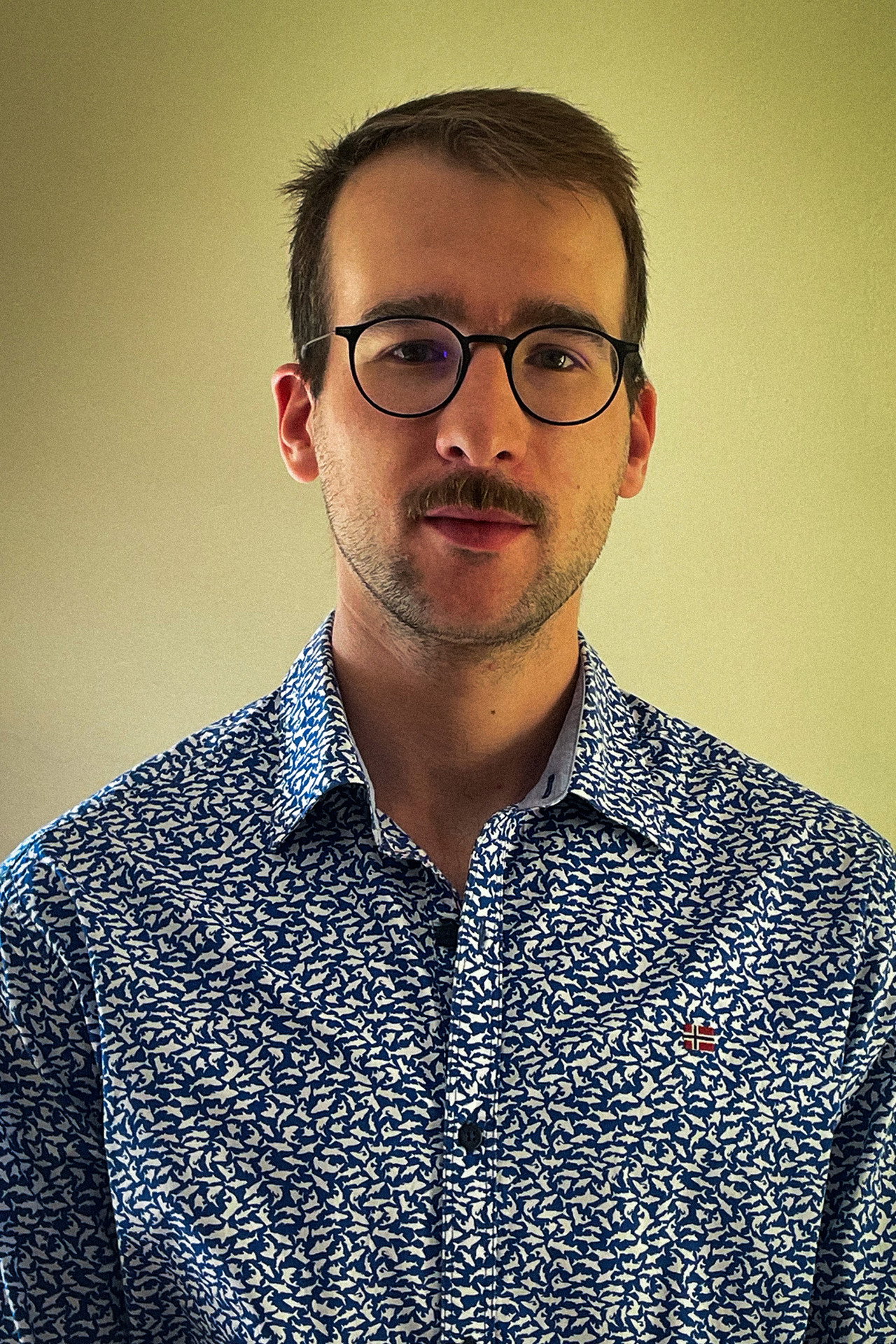 Daniele Mazzucco