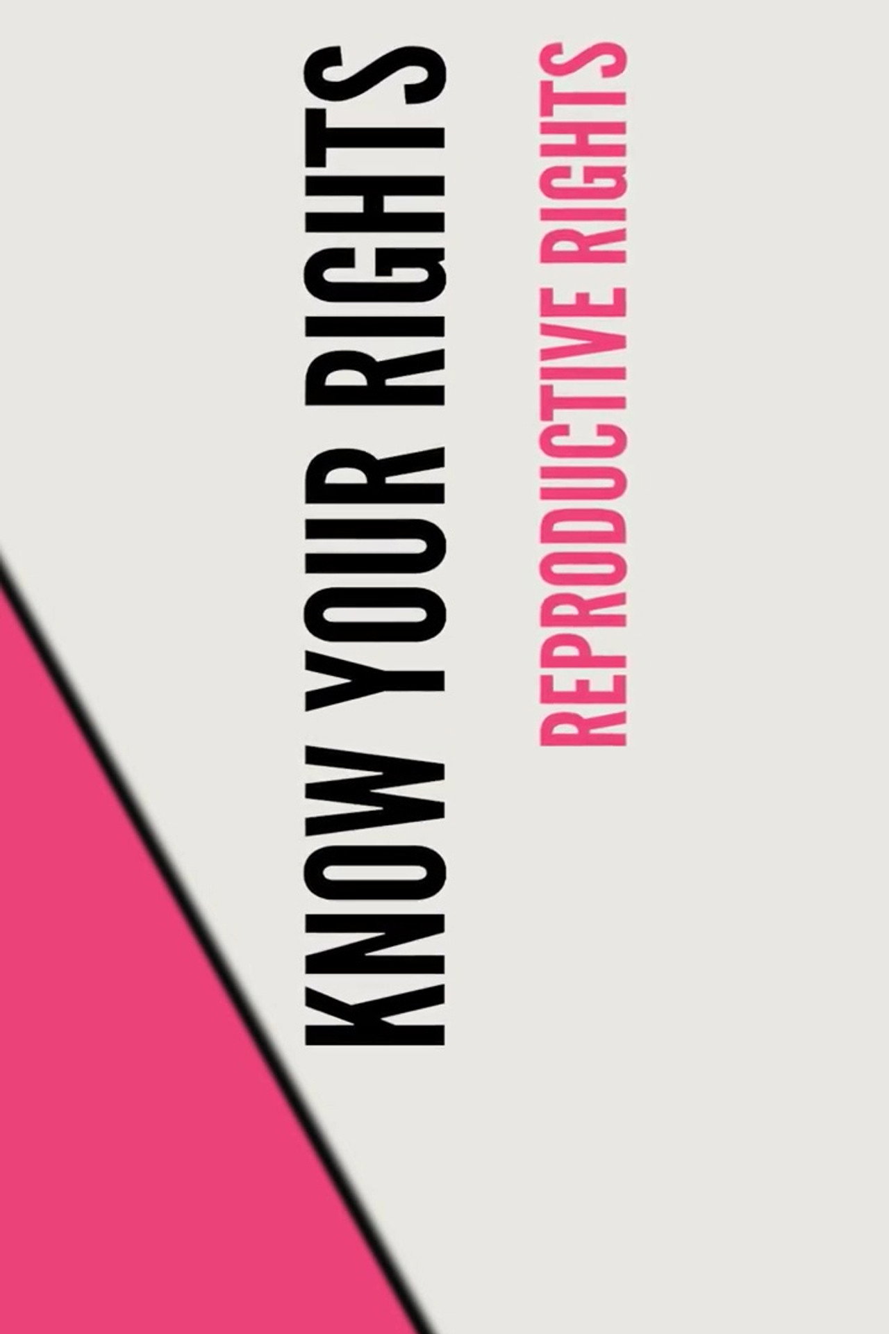 Stand UP, Speak OUT: Reproductive Rights - Know Your Rights filmaffisch