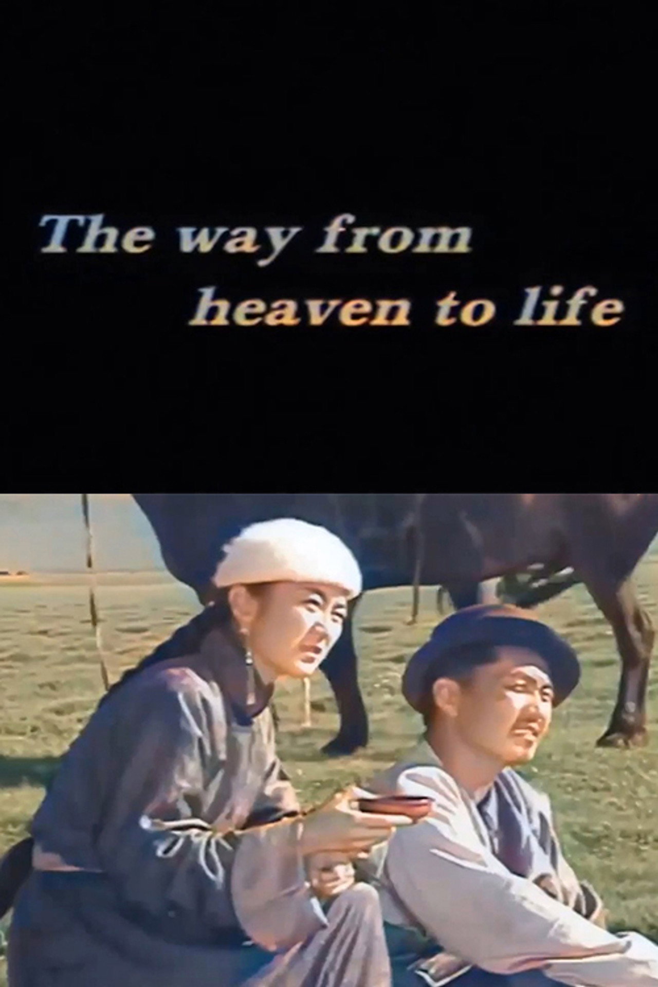 Диваажингаас амьдралд хүрэх зам filmaffisch
