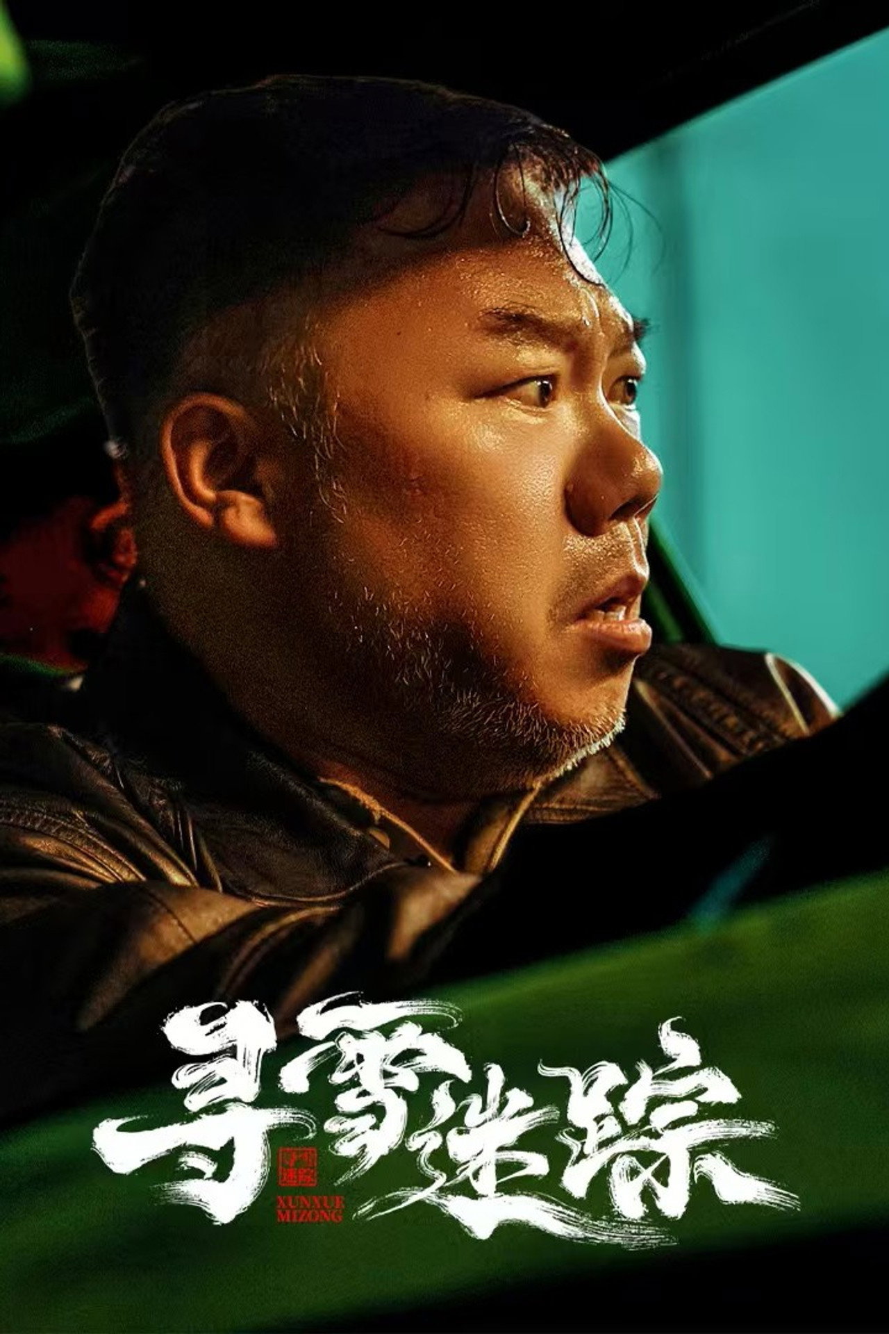 寻雪迷踪 affisch