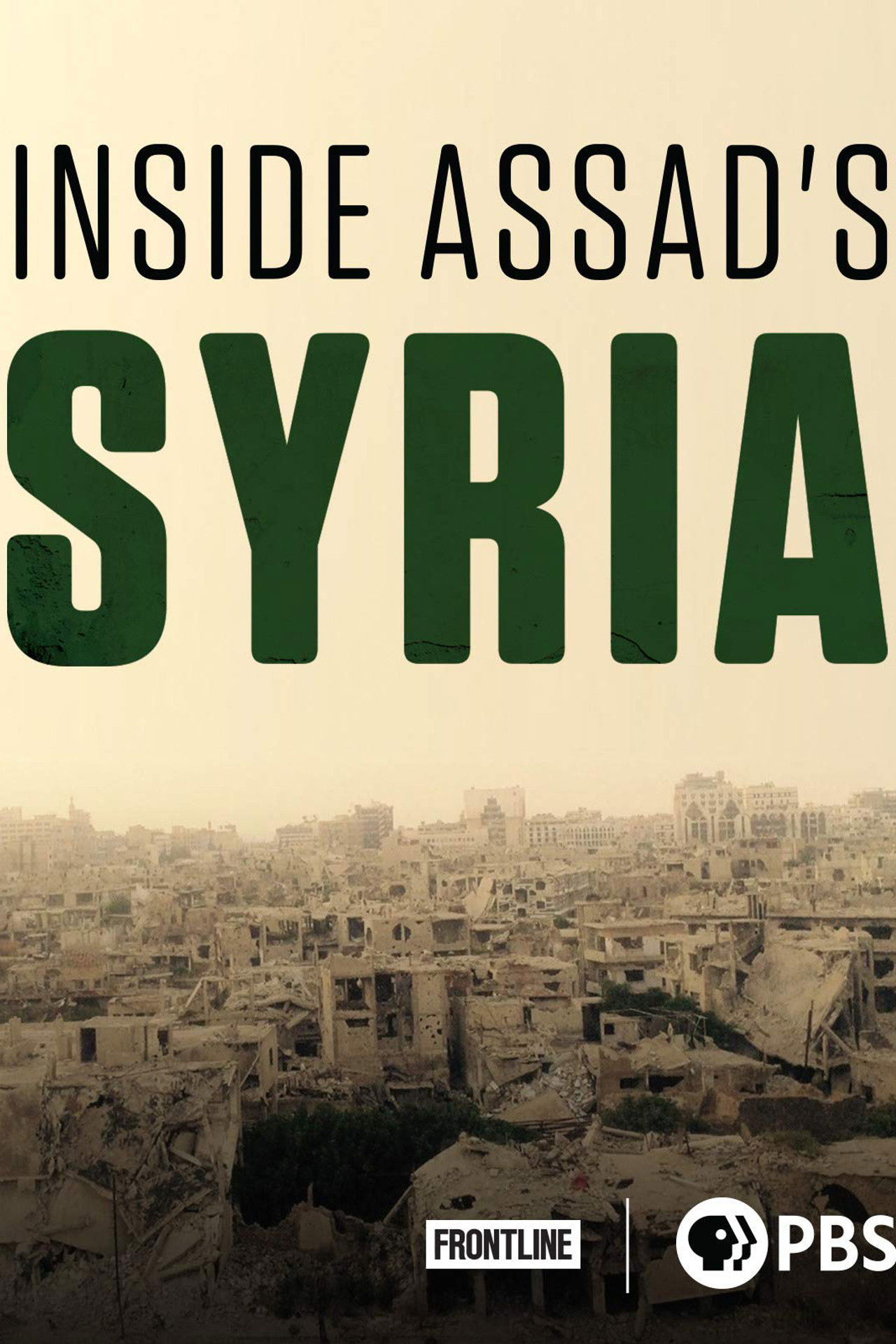 Inside Assad's Syria Backdrop