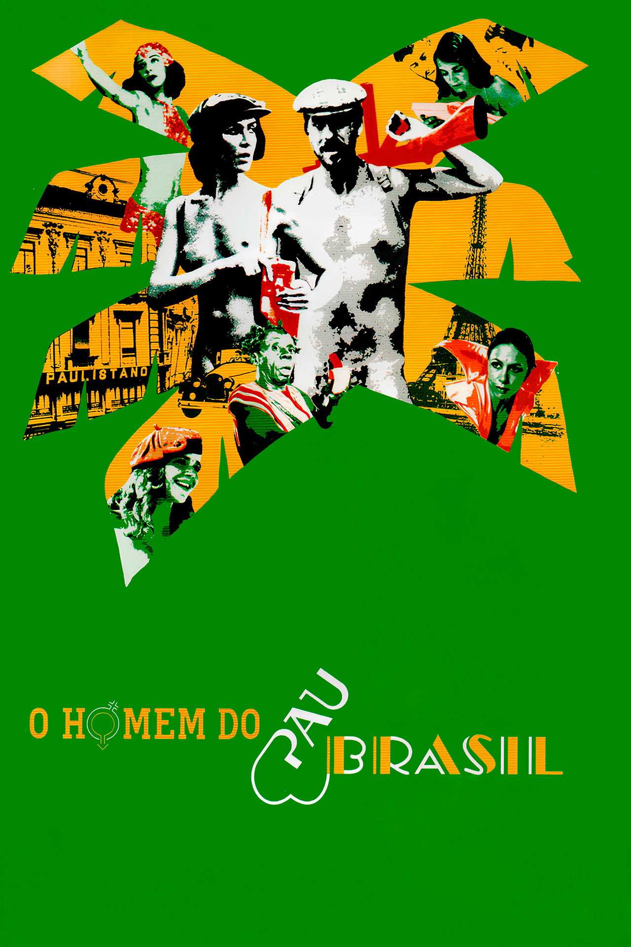 The Brazilwood Man