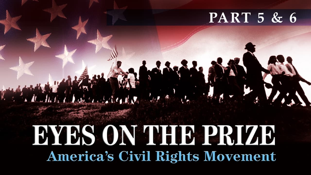 American Experience - Season 19 Episode 3 : Eyes on the Prize (5 & 6): Is This America? 1963-1964 / Bridge to Freedom 1965