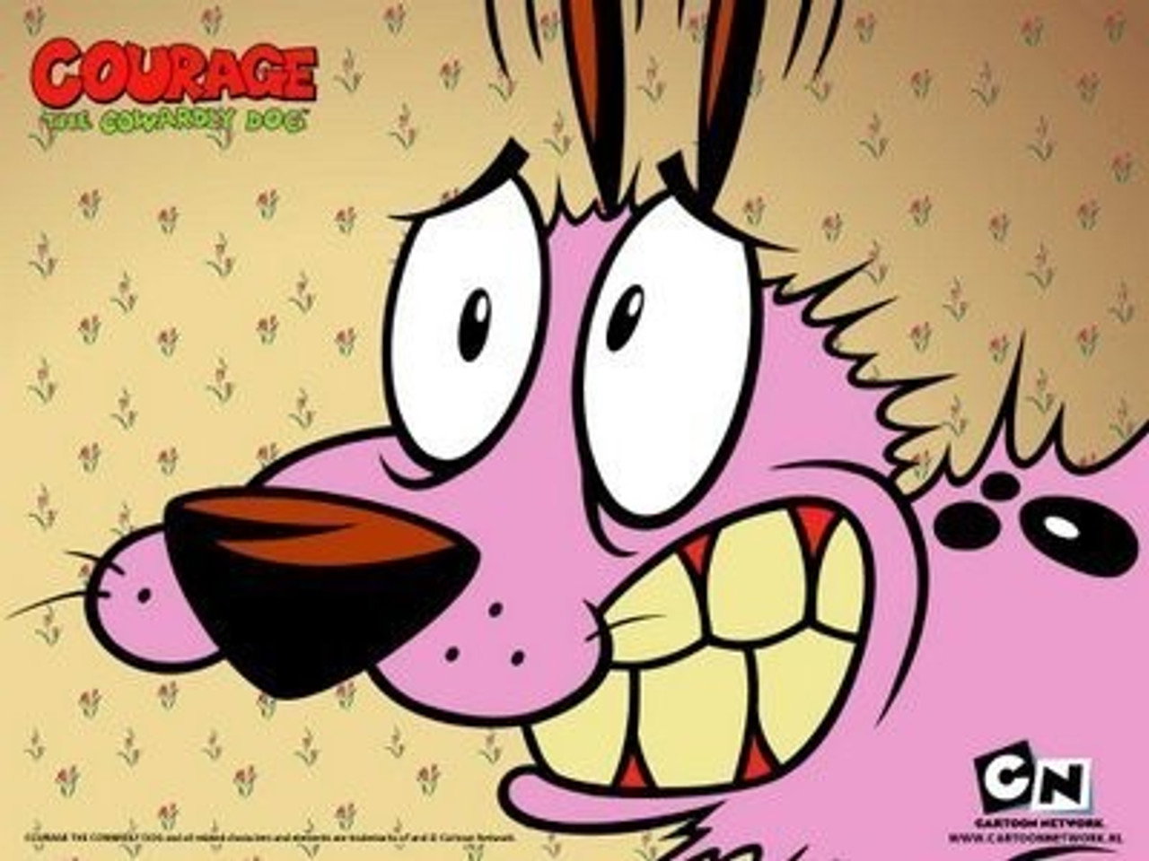Agallas El Perro Cobarde Serie Completa