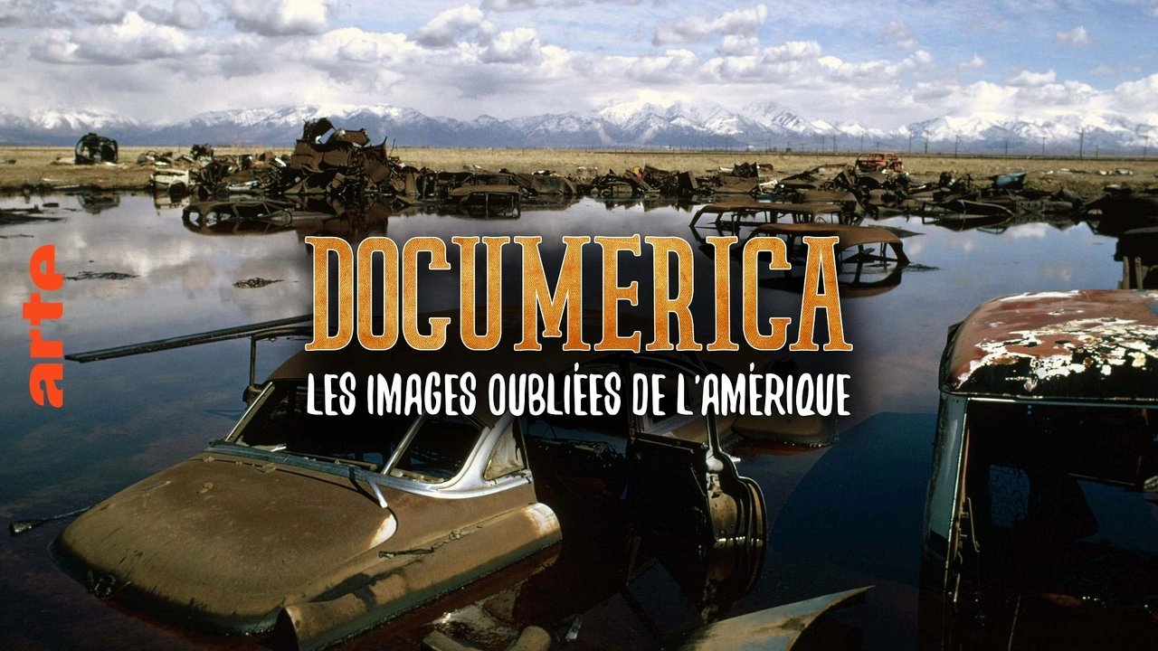 Backdrop for Documerica, Self-Portrait of a Nation on the Brink