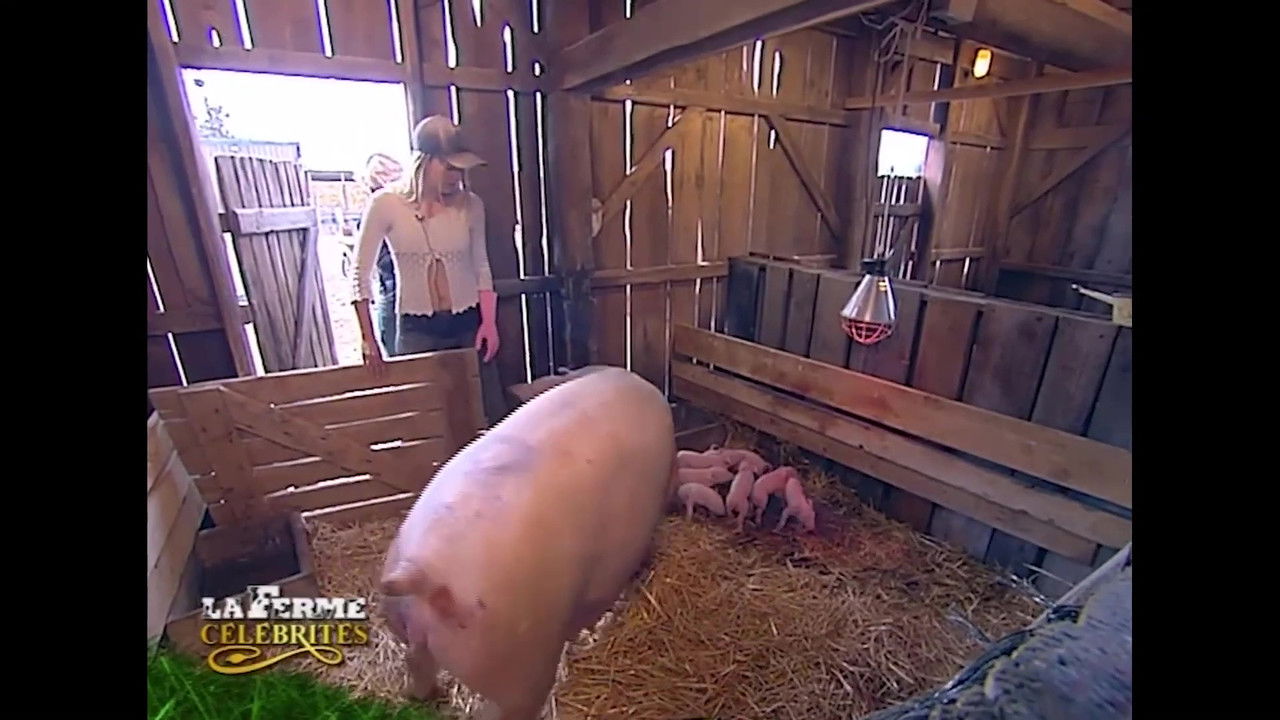 La Ferme Célébrités — Quotidienne n°29 - Jour 29