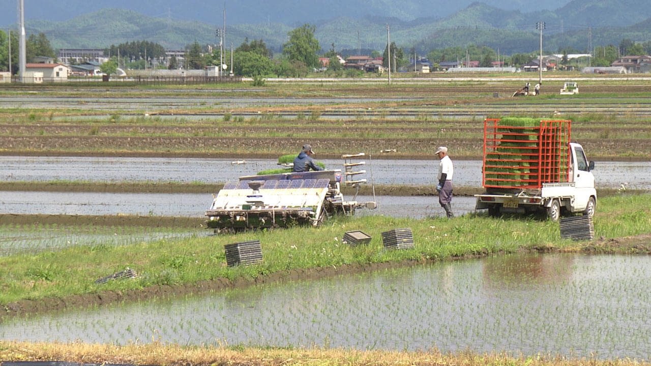 Japanology Plus - Season 5 Episode 18 : Rice Cultivation