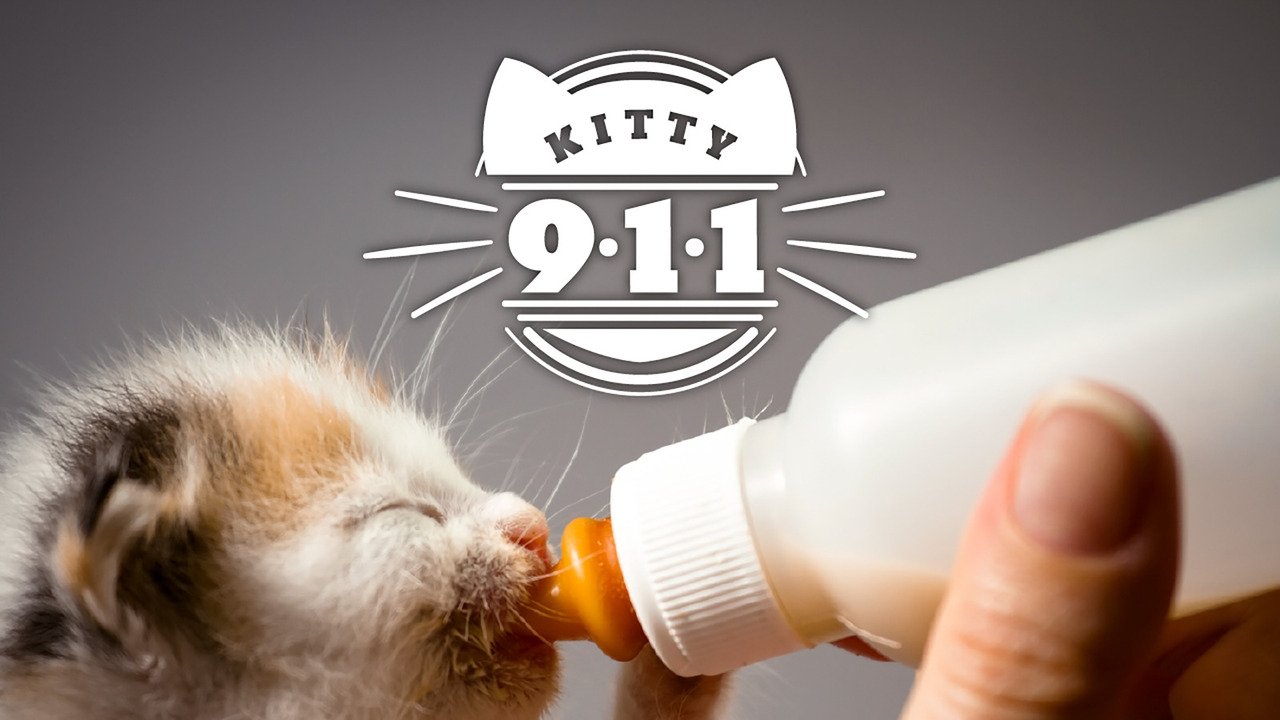 Kitty 911 background