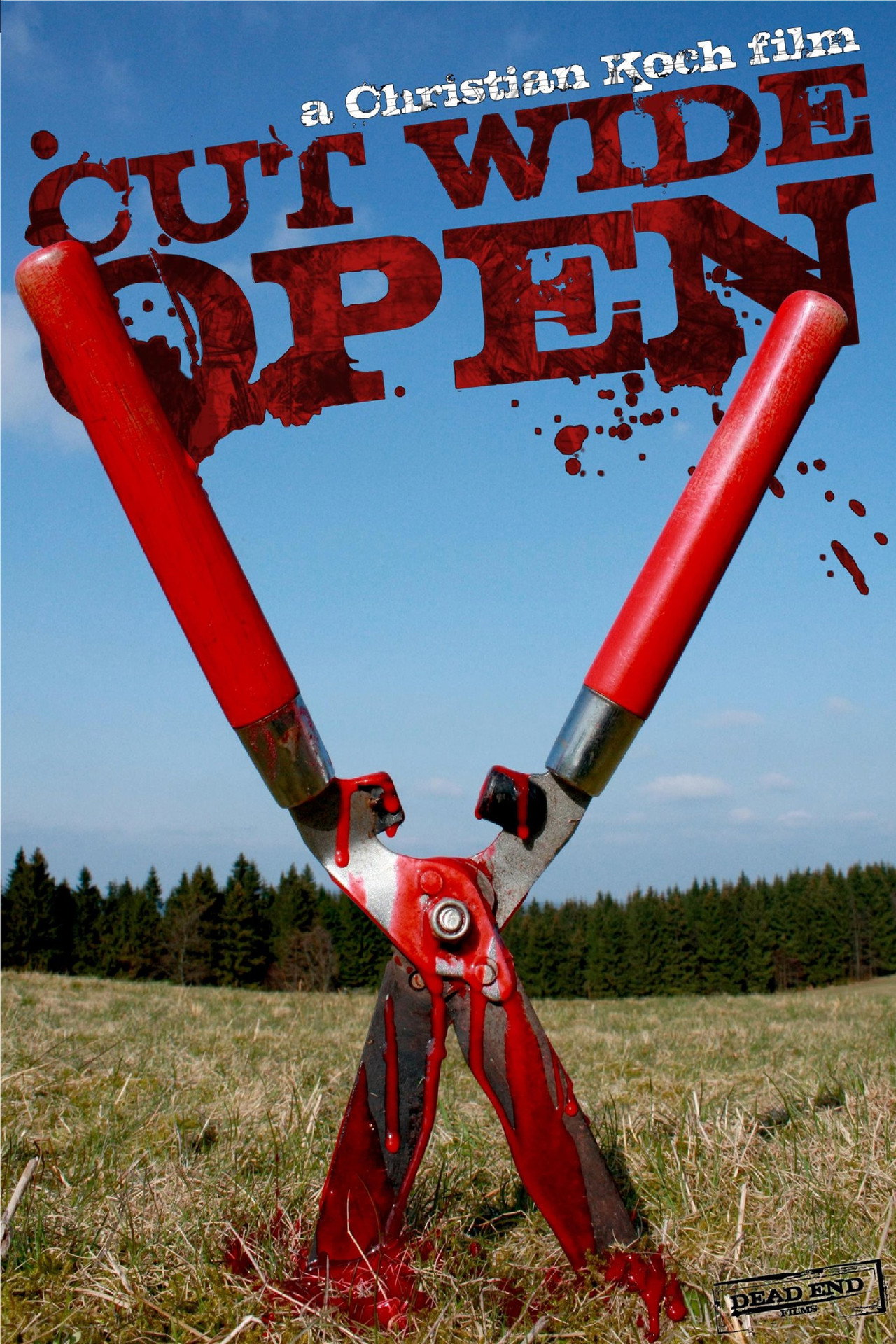 Cut Wide Open filmaffisch
