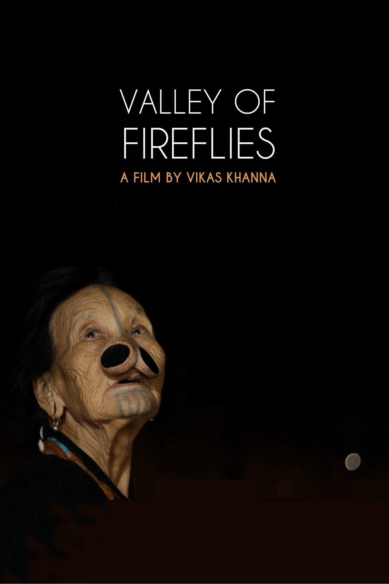 Valley of Fireflies filmaffisch