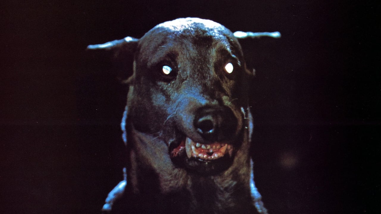 Scen från Zoltan - Drakulas hund
