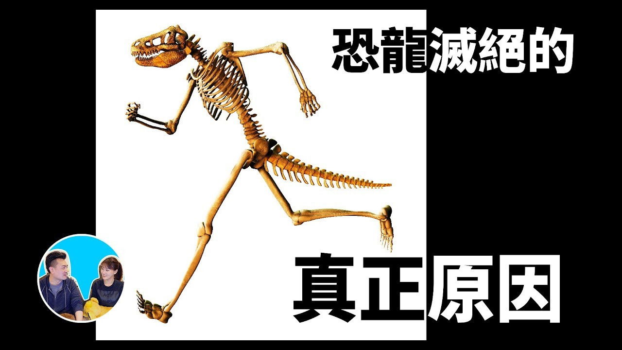 老高与小茉 — Épisode 47