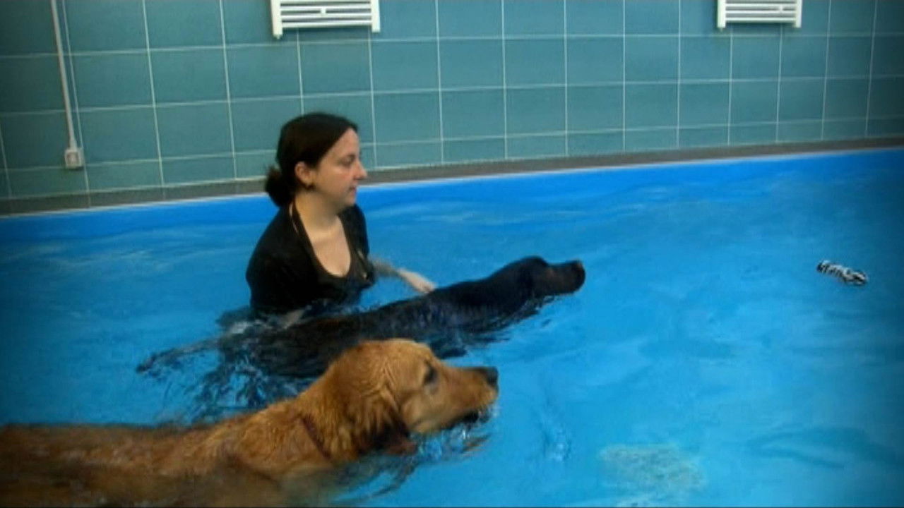 Missione cuccioli — Épisode 10