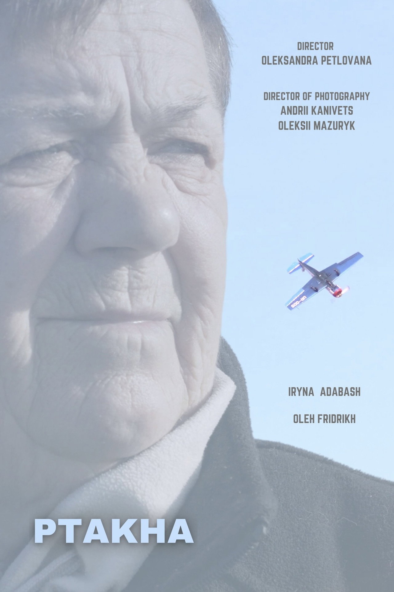 Птаха, що ходить по землі filmaffisch