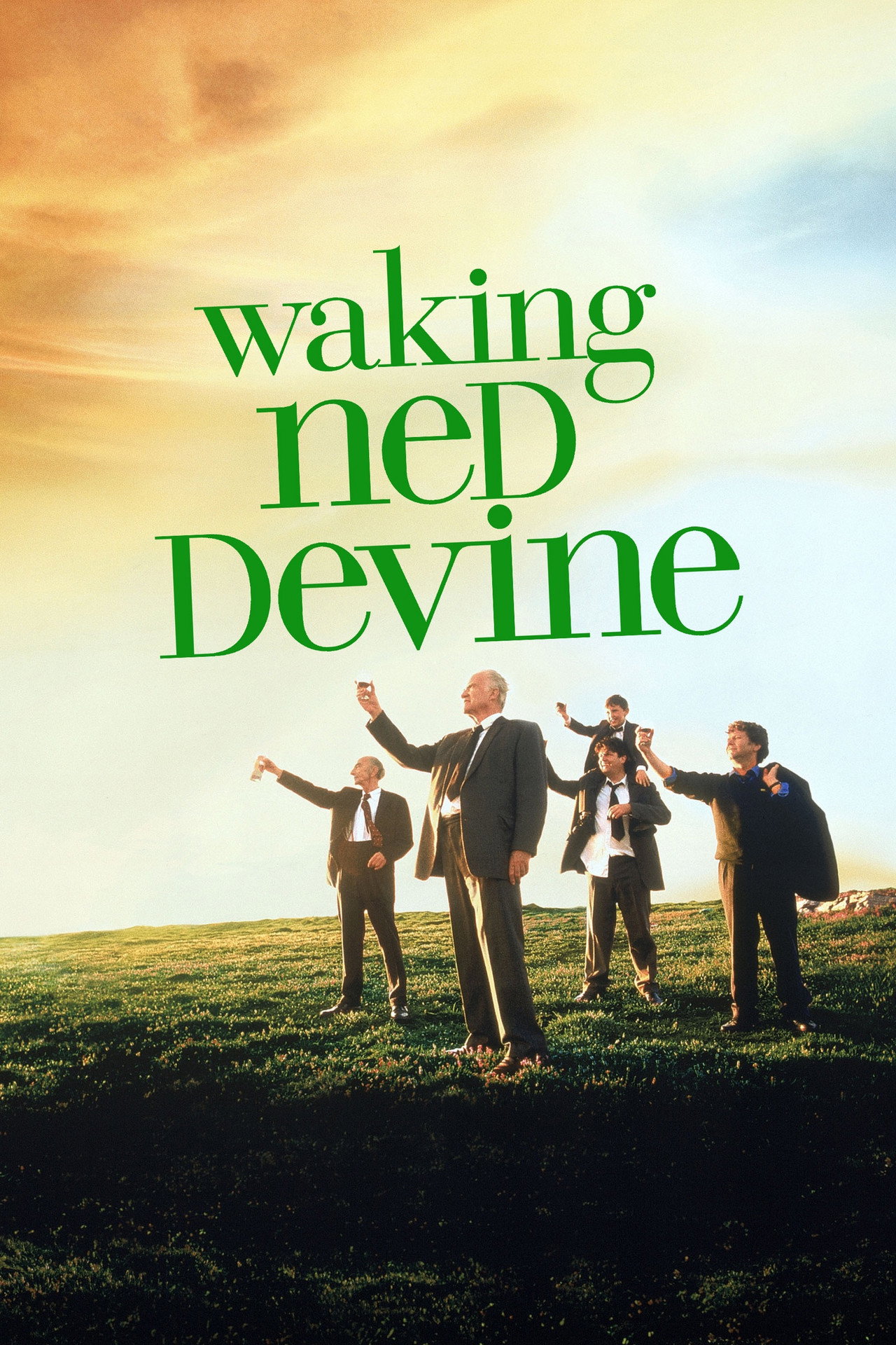 Ned Devine'i diriltmek afişi