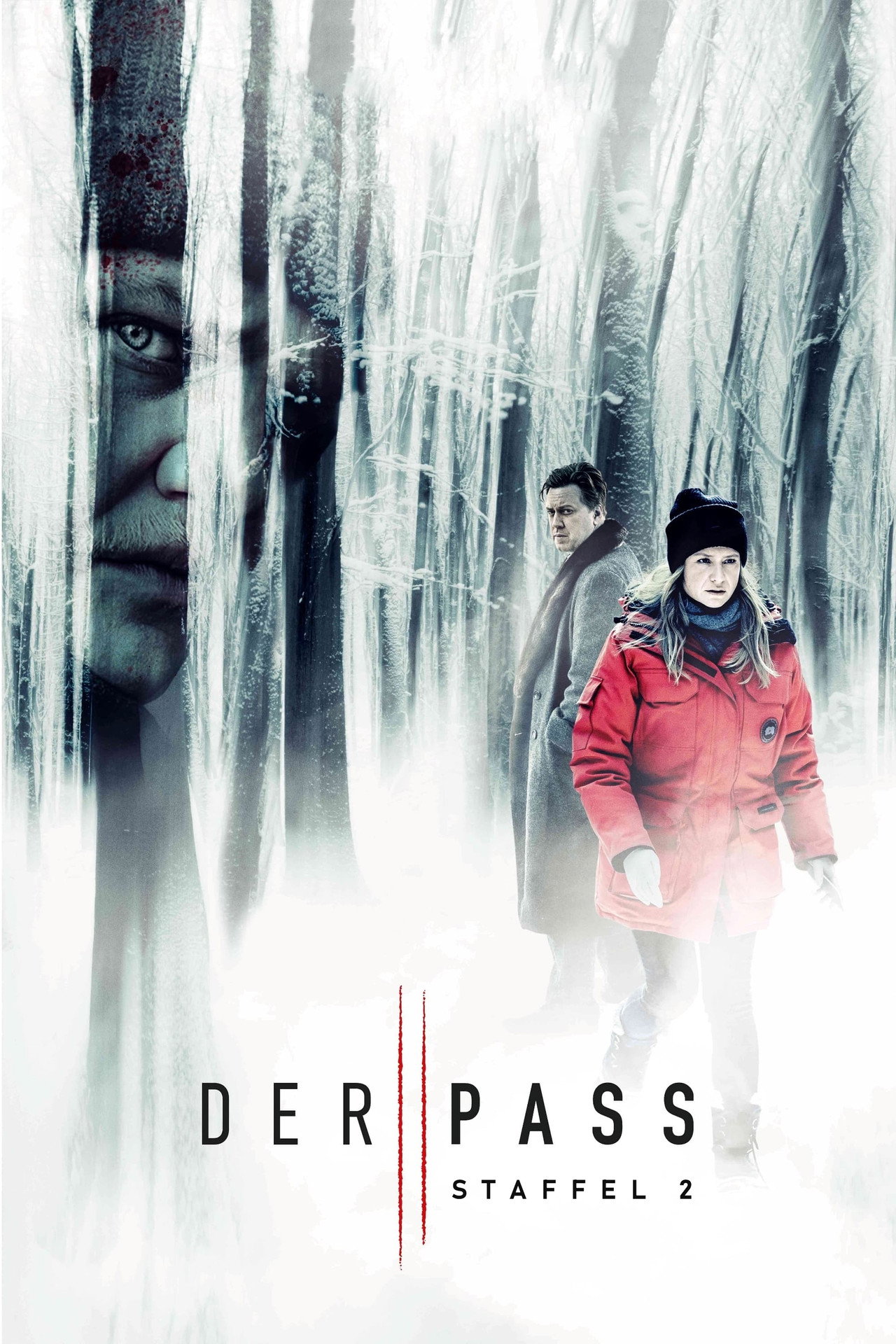 Der Pass (2022) Hindi Season 2 Complete backdrop
