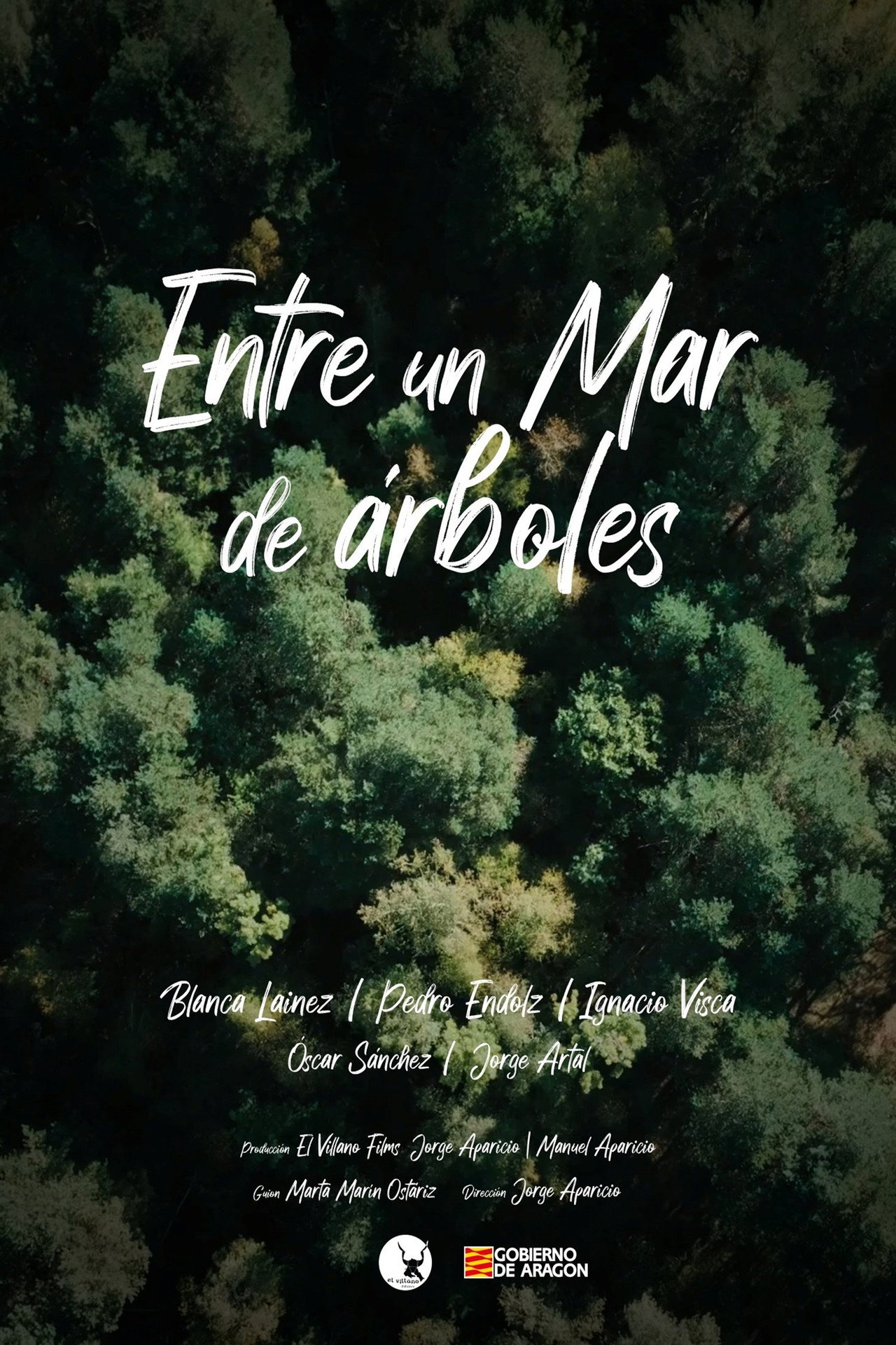 Entre un mar de árboles filmaffisch