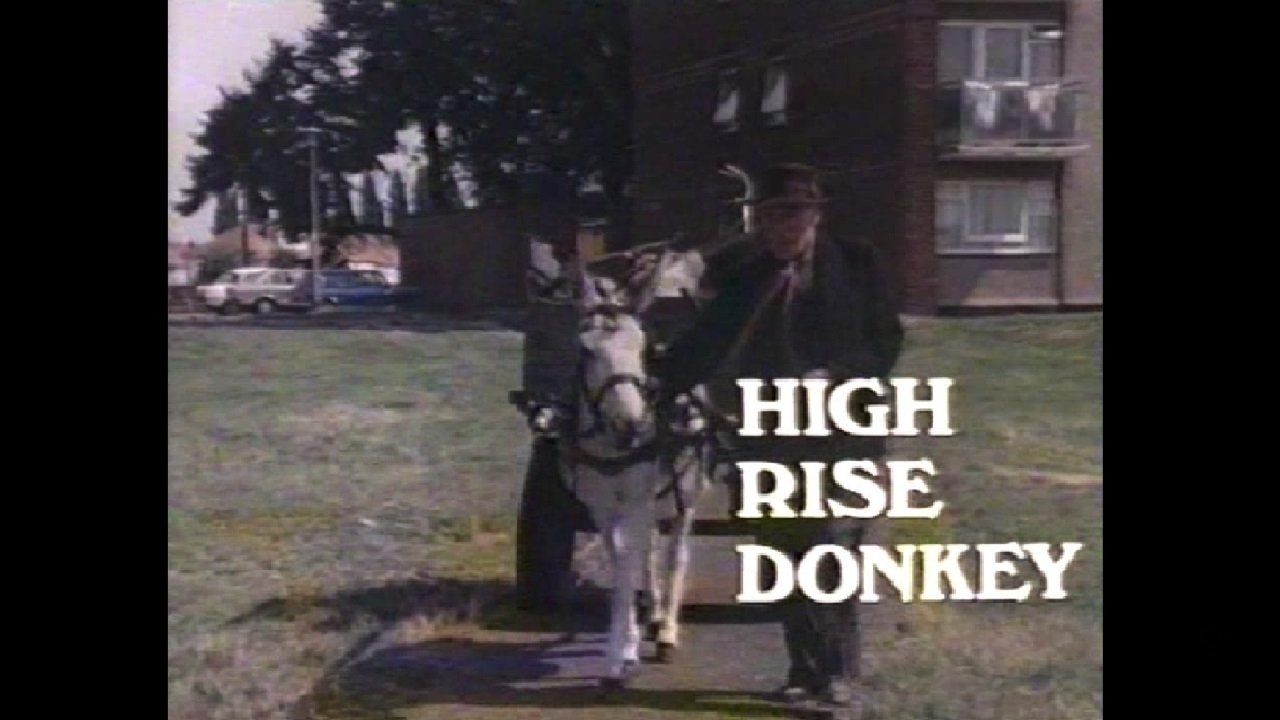 High Rise Donkey (1980)