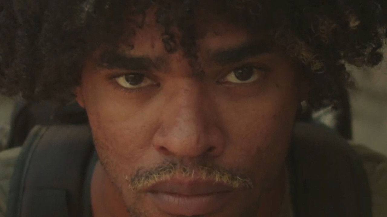 Andorinha Só Não Faz Verão backdrop