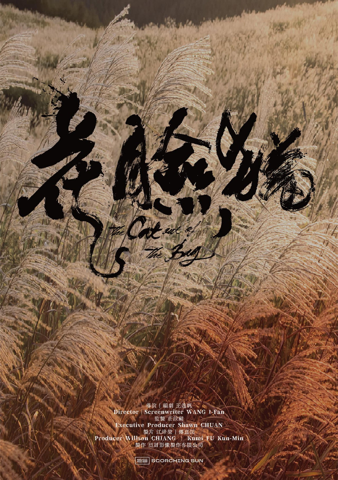 花臉貓:修羅道 filmaffisch