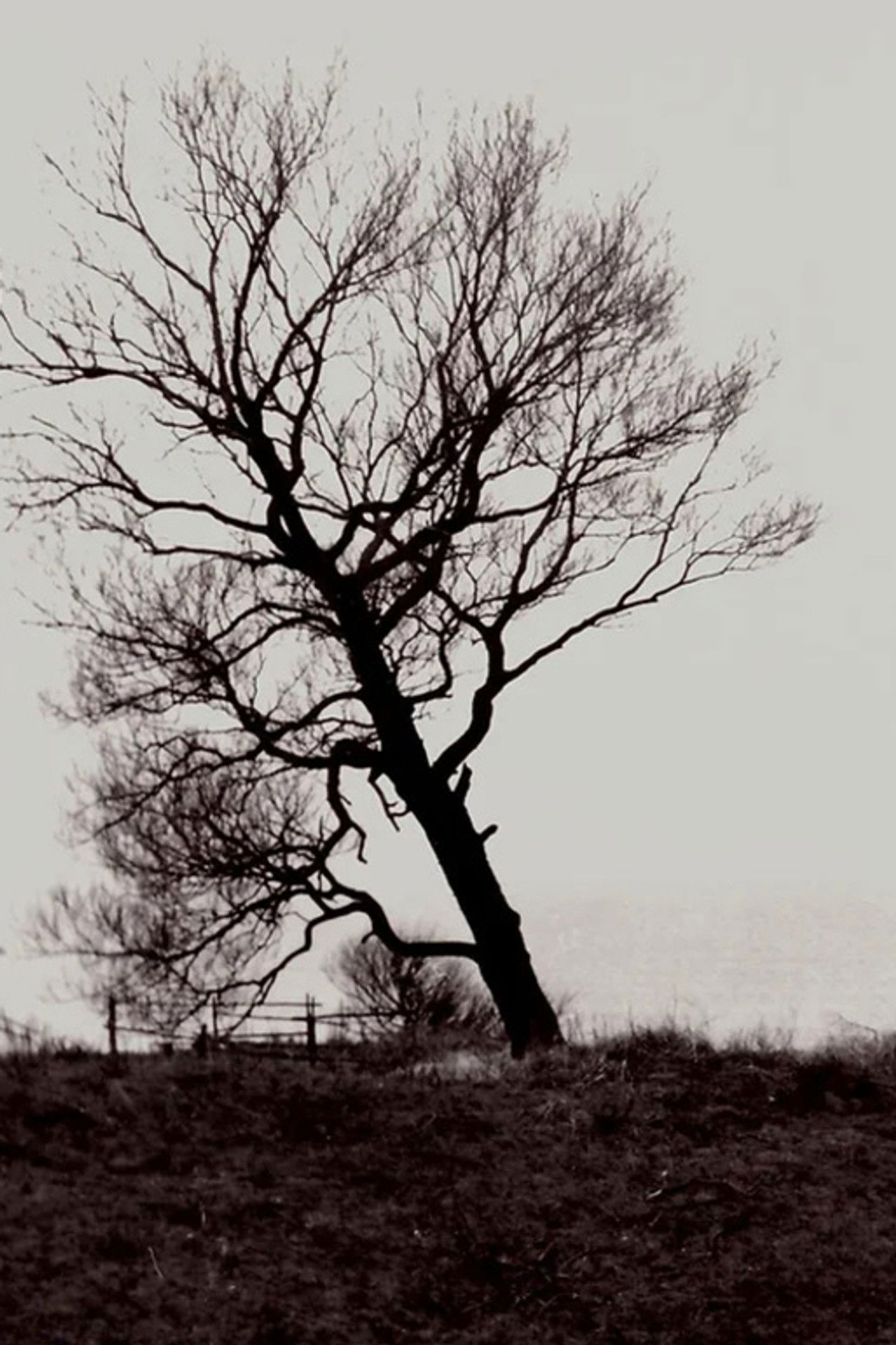 The Harrowed Coast Backdrop