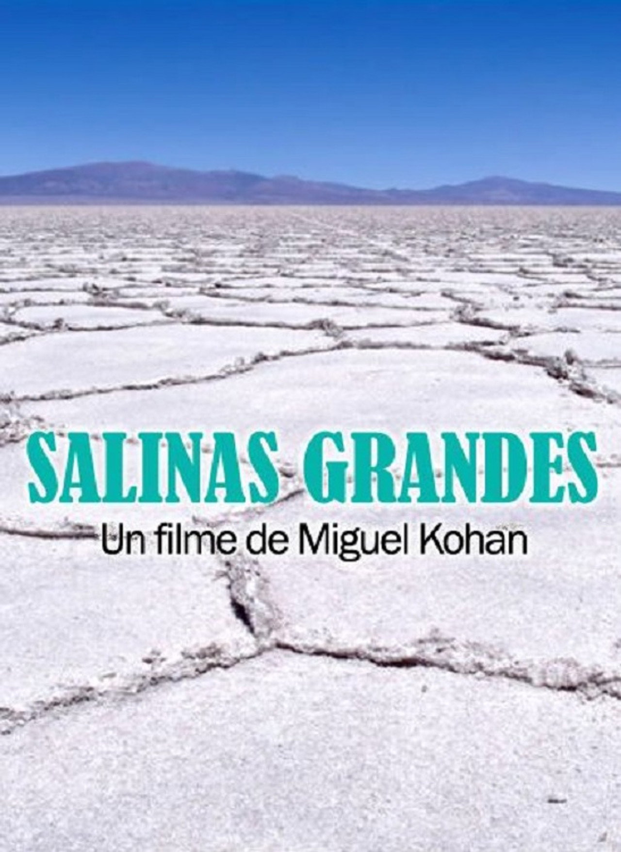 Salinas grandes filmaffisch