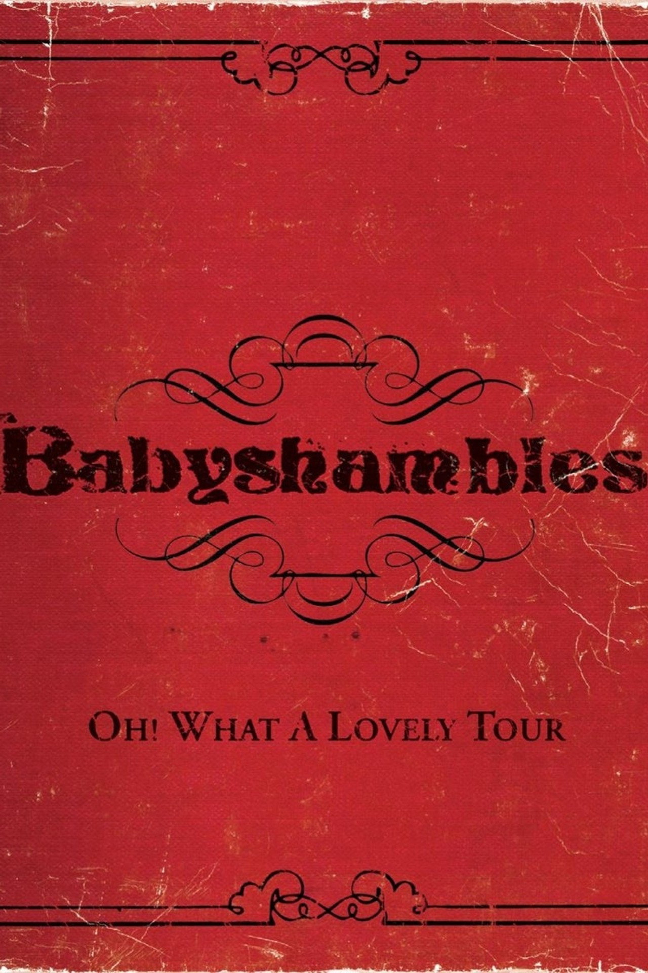 Oh! What a Lovely Tour - Babyshambles Live Backdrop
