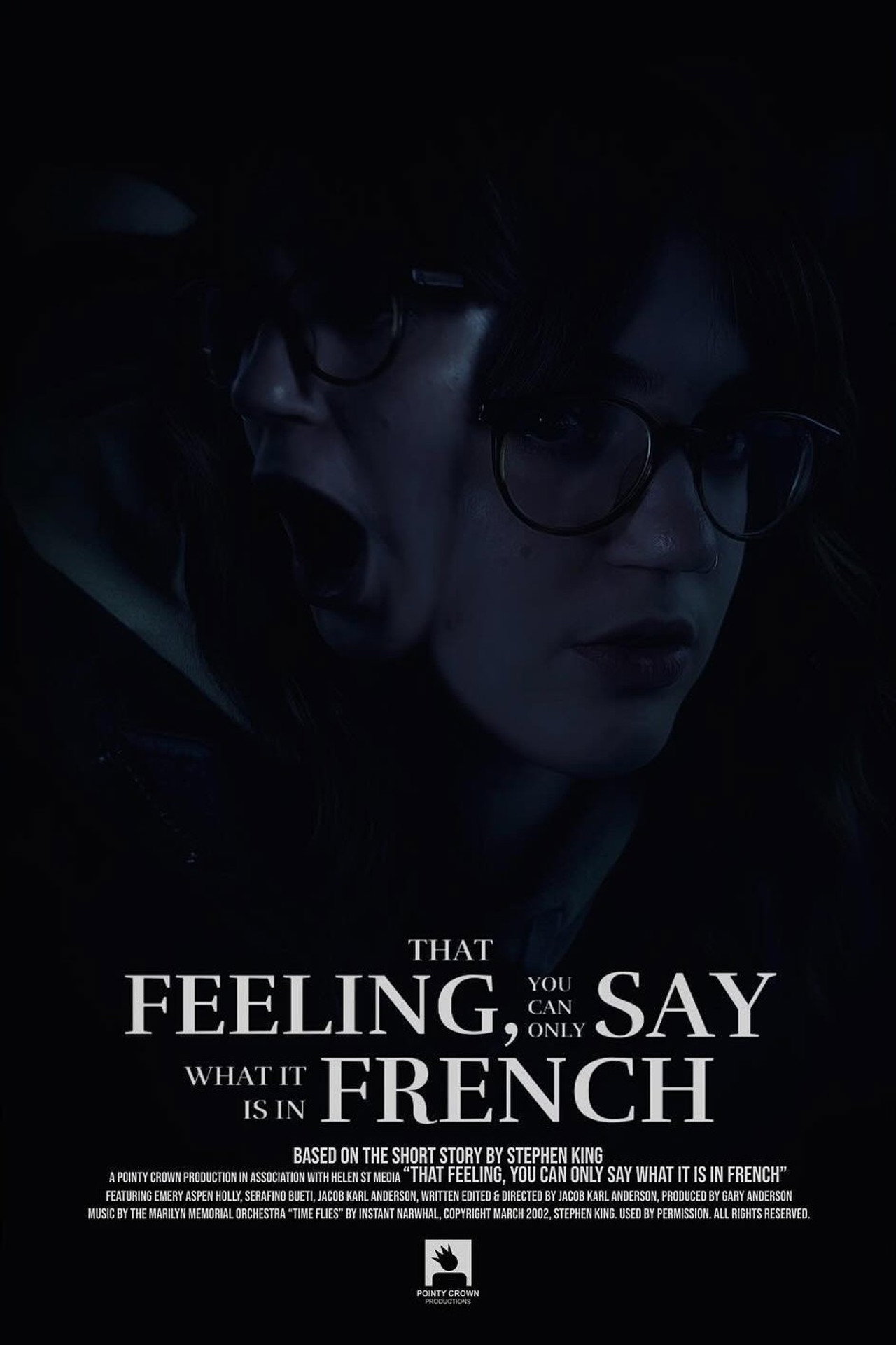 That Feeling, You Can Only Say What It Is In French poster