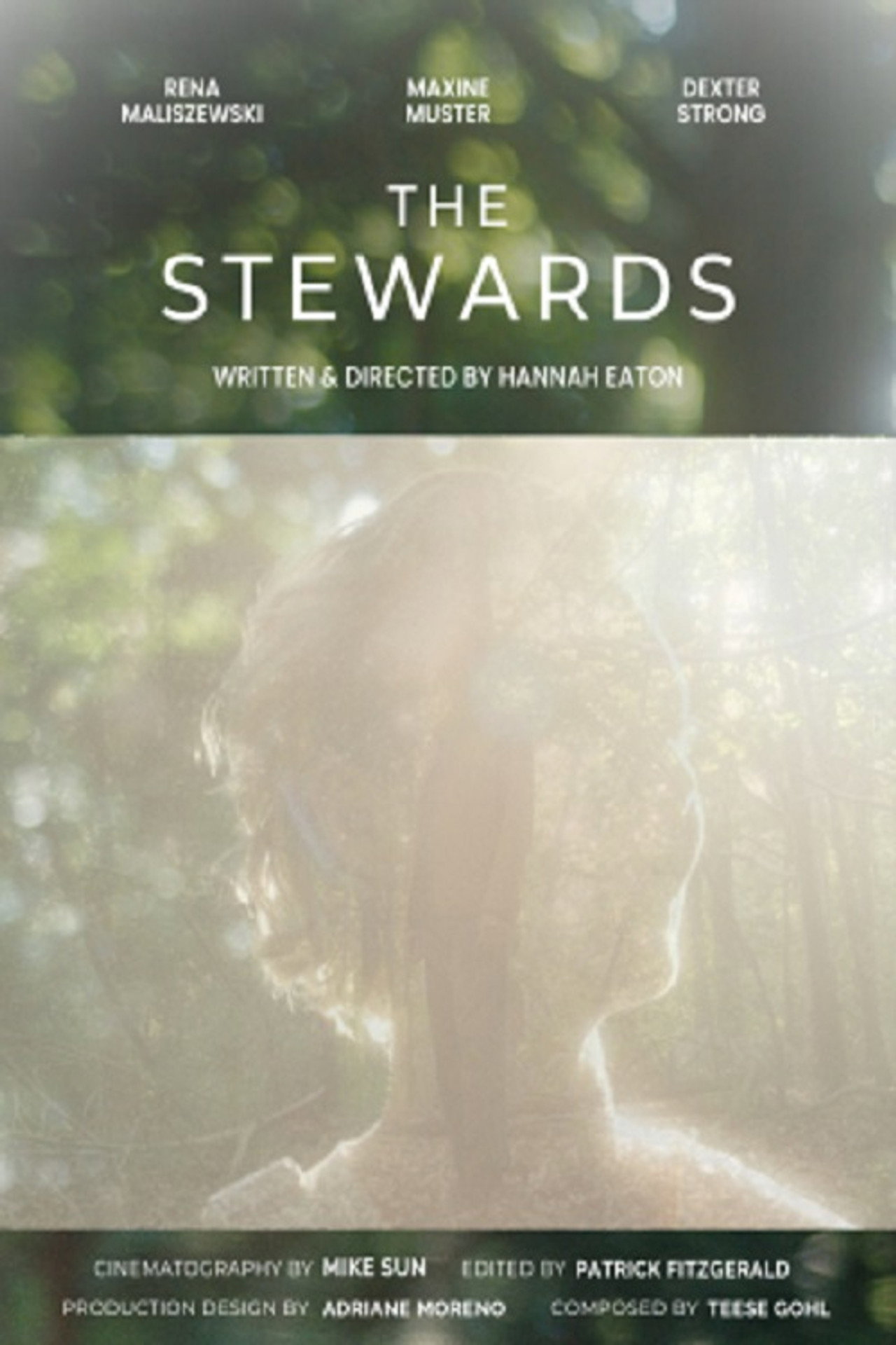 The Stewards poster