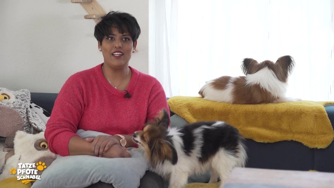 Tatze, Pfote, Schnabel - Season 3 Episode 1 : Episode 1