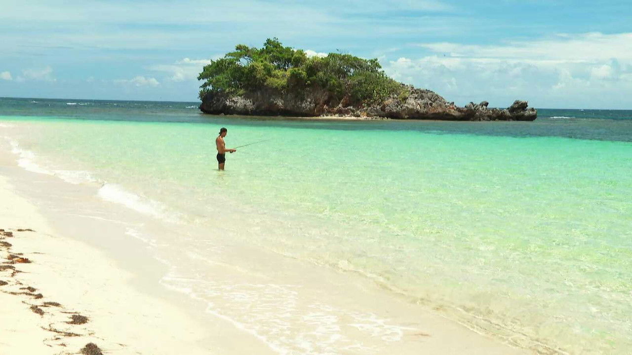 Robinson - Season 21 Episode 14 : Episode 14