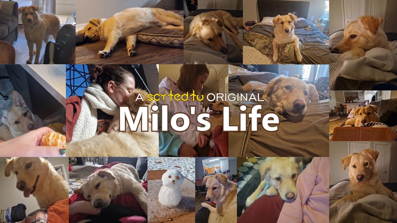 Milo's Life - Season 1