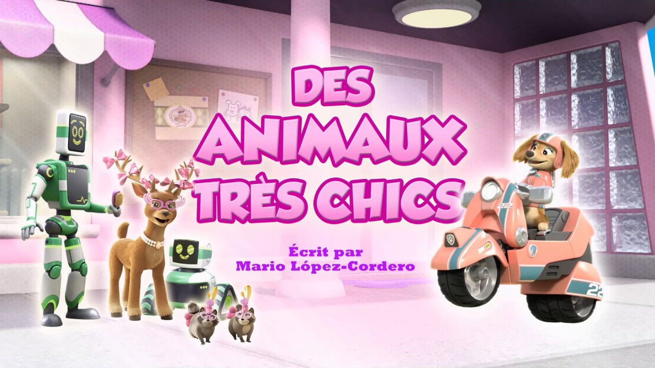 Des animaux très chics