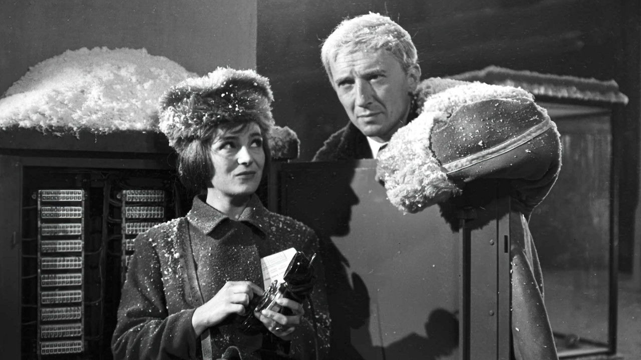 Christmas Eve backdrop