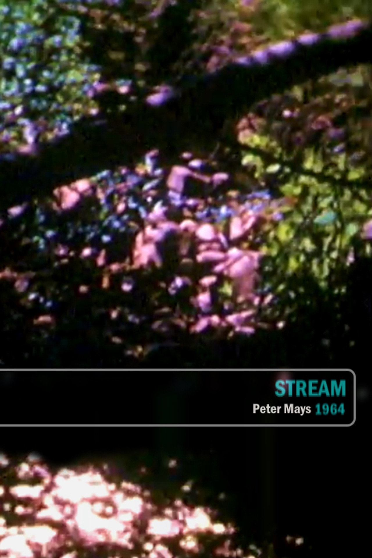 Stream filmaffisch