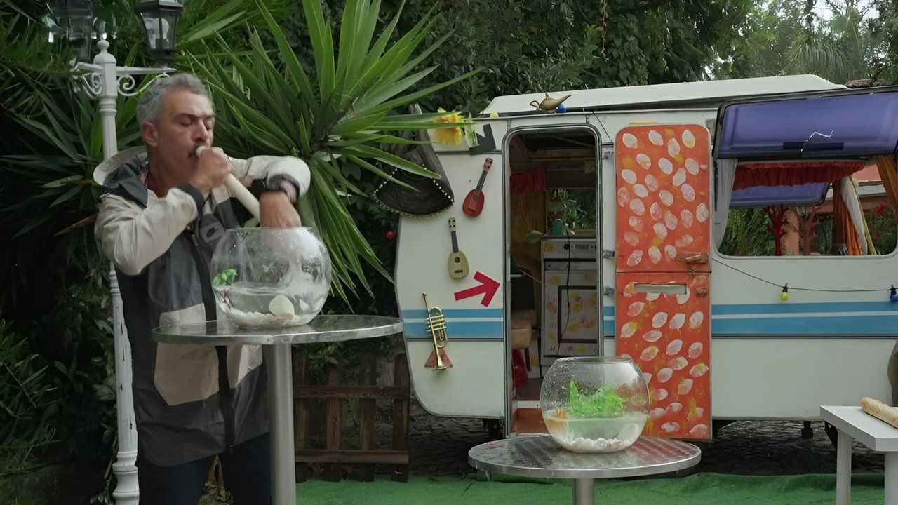 Taskmaster Portugal - Season 5 Episode 4 : Episode 4