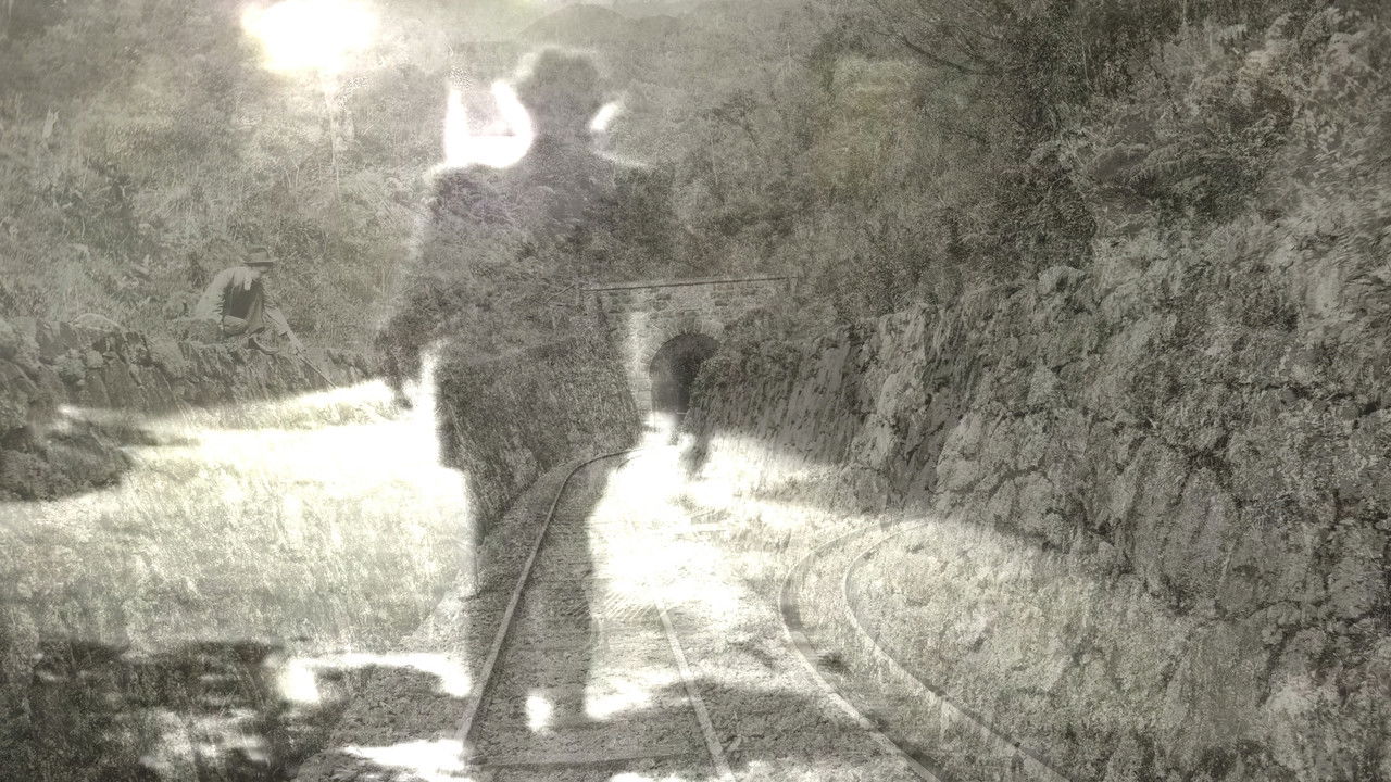 Diálogo Bulbul Backdrop