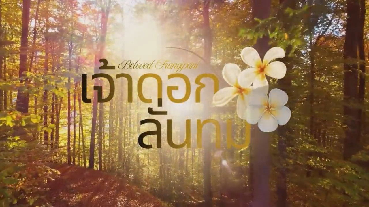 Beloved Frangipani backdrop image