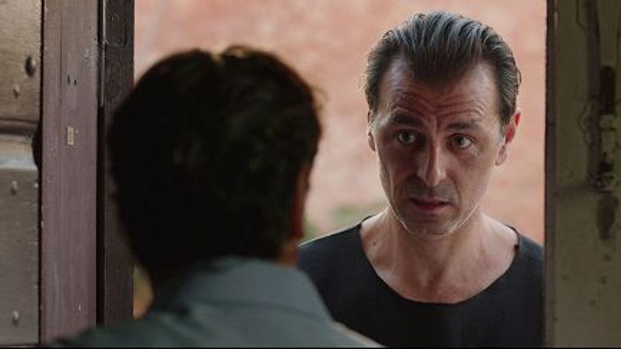 Lo sa il gatto di chiamarsi Stendhal?