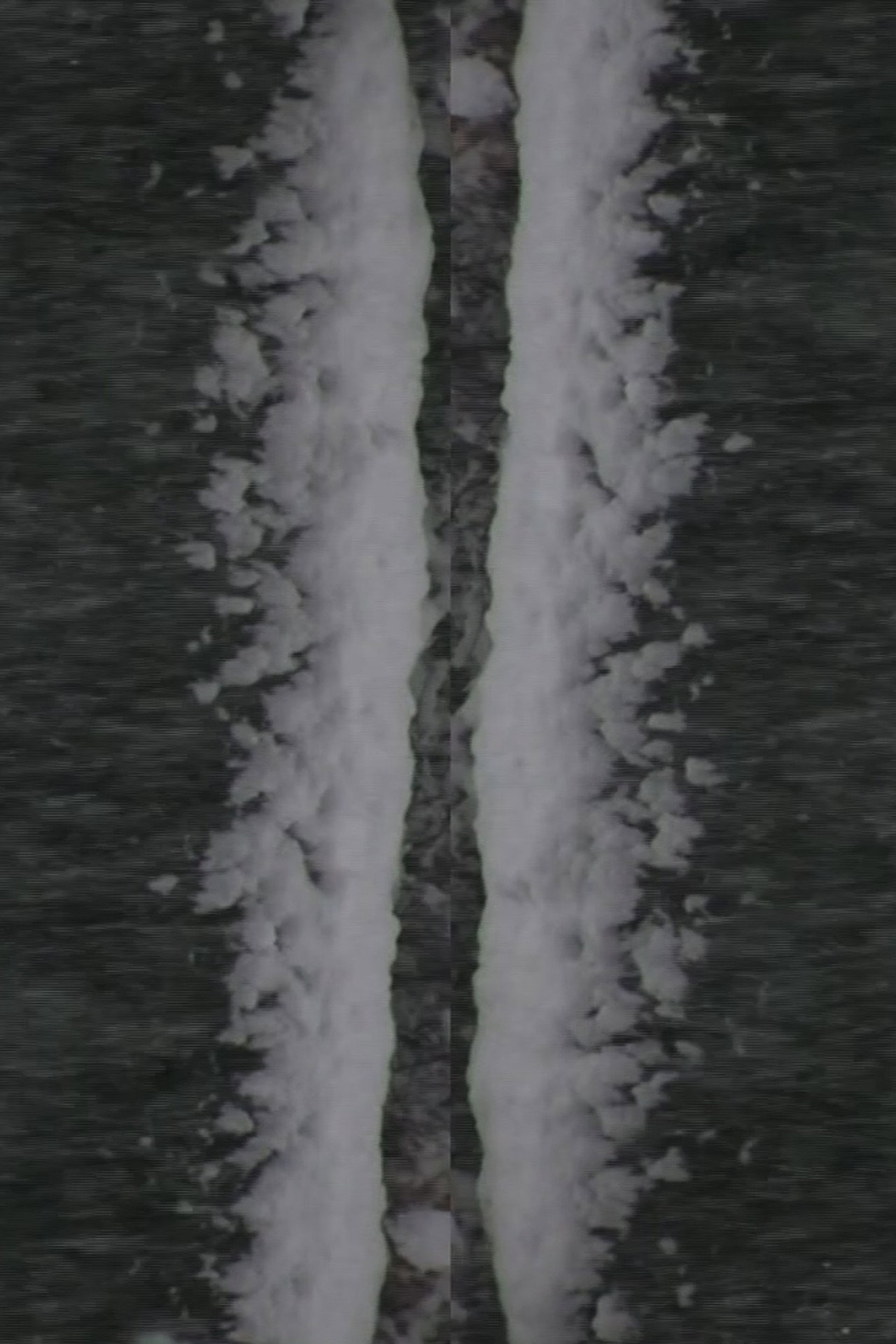 Snow Fall