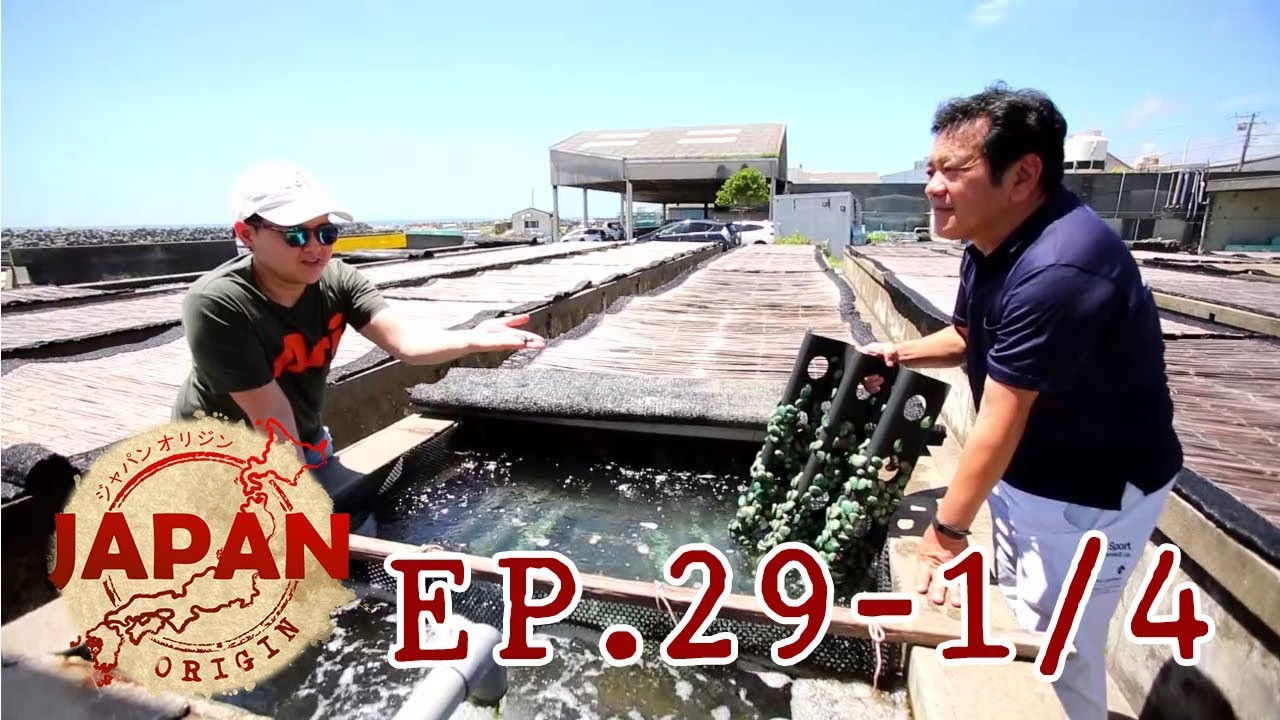 Japan Origin — Épisode 29