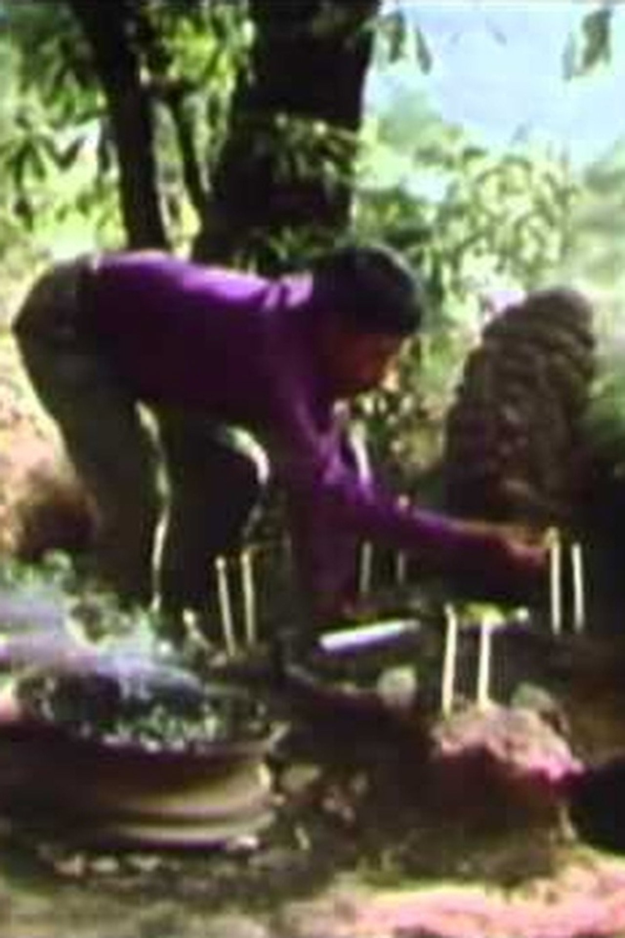 Brujo filmaffisch
