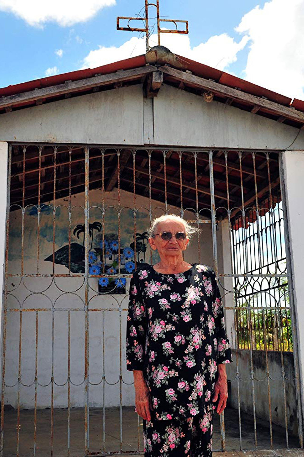 Uma Visita Para Elizabeth Teixeira Backdrop