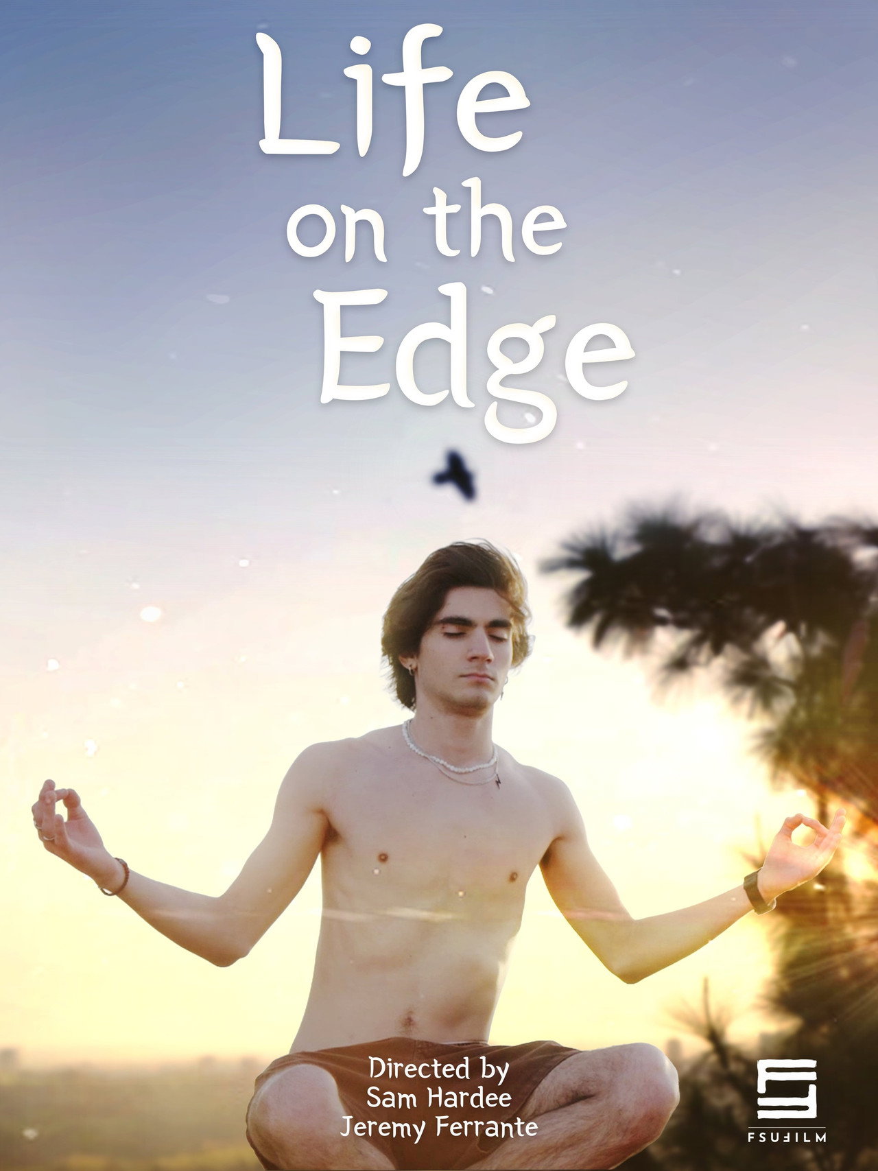Life on the Edge filmaffisch
