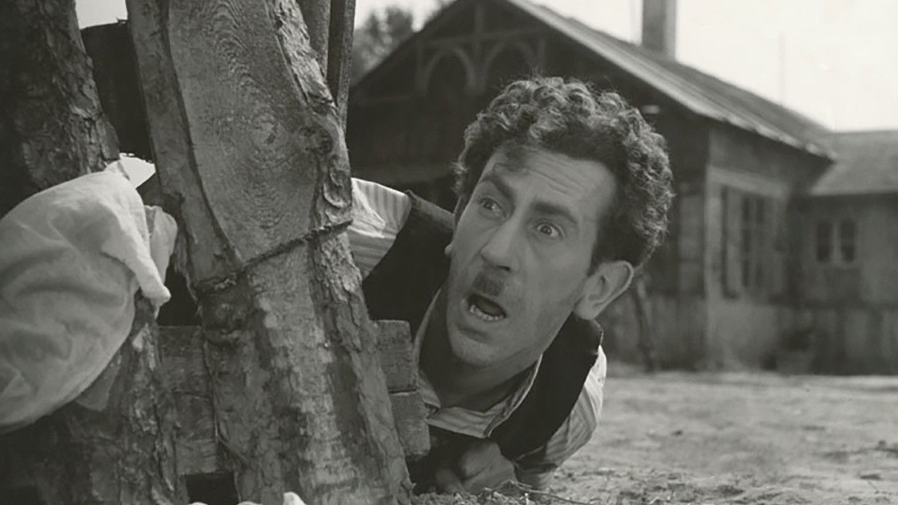 Szczęściarz Antoni backdrop