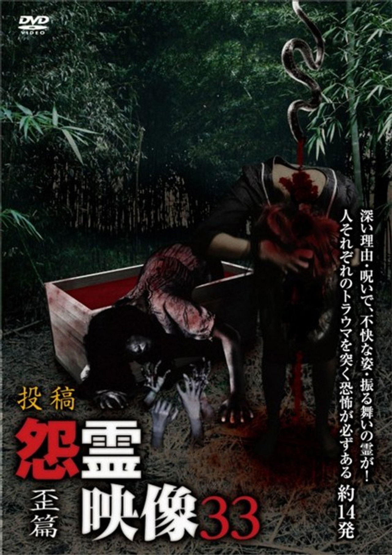 Posted Grudge Spirit Footage Vol.33: Distorted Edition Backdrop