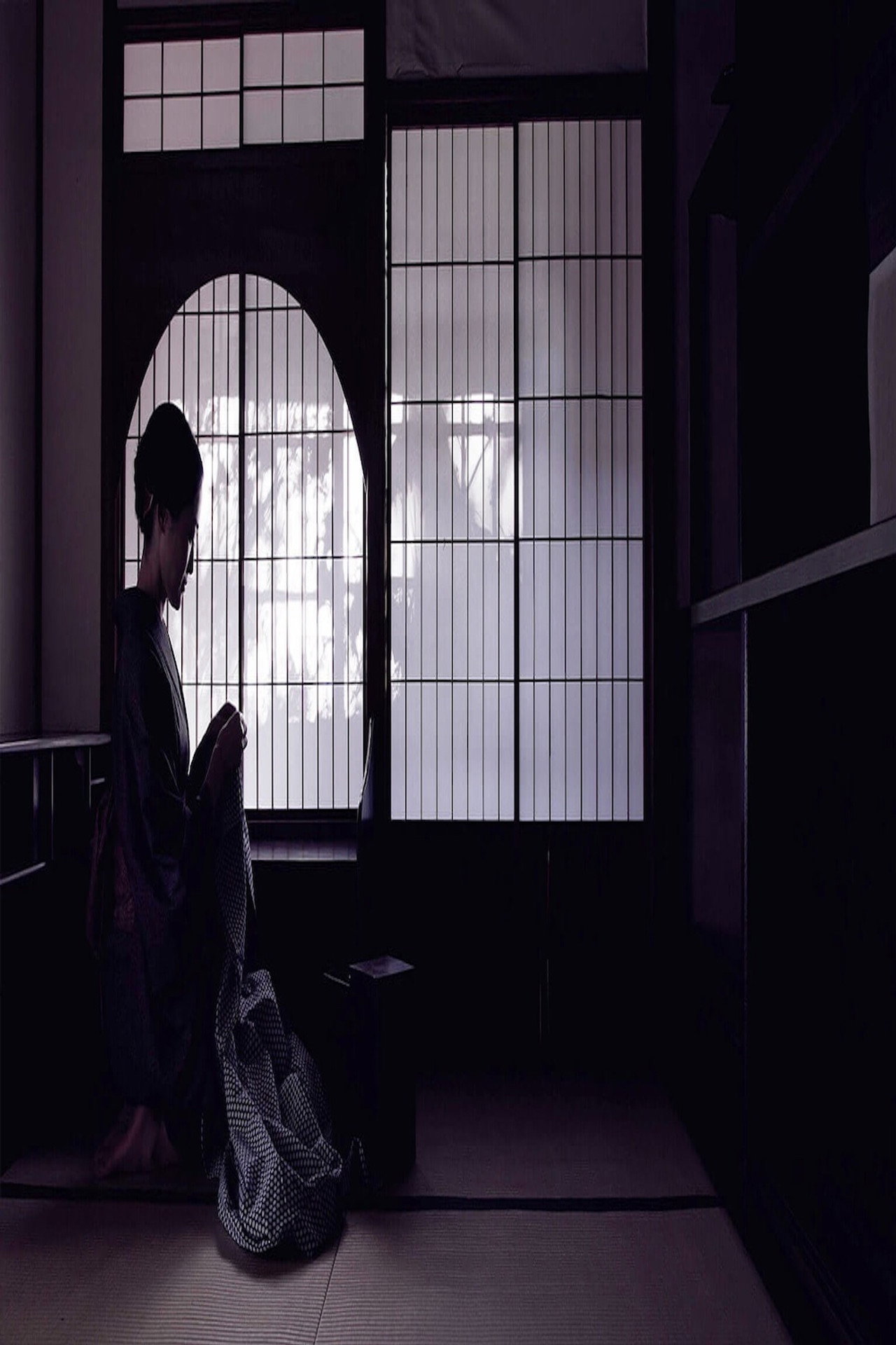 Tanizaki Junichiro on Japanese Aesthetics - In Praise of Shadows Backdrop