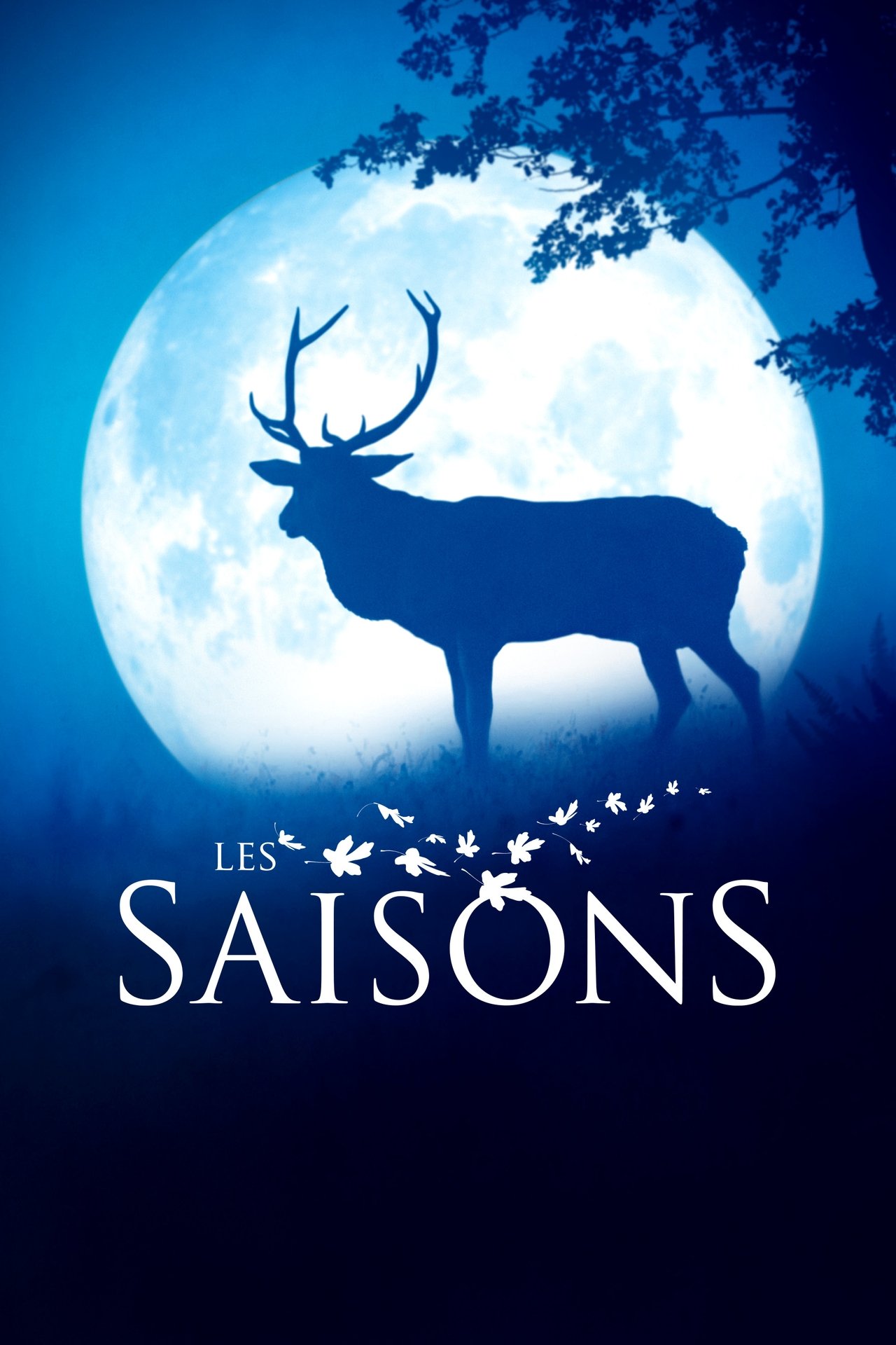 Les Saisons poster
