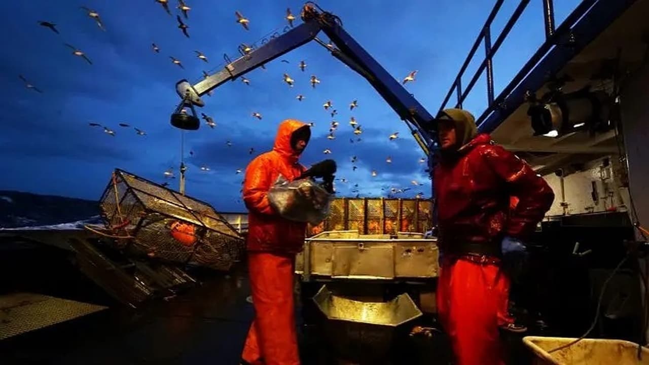 Deadliest Catch - Season 15 Episode 5 : Shifting Stack