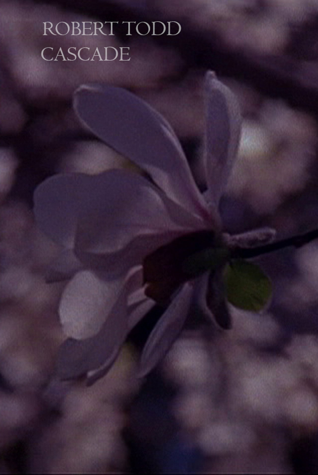 Cascade filmaffisch